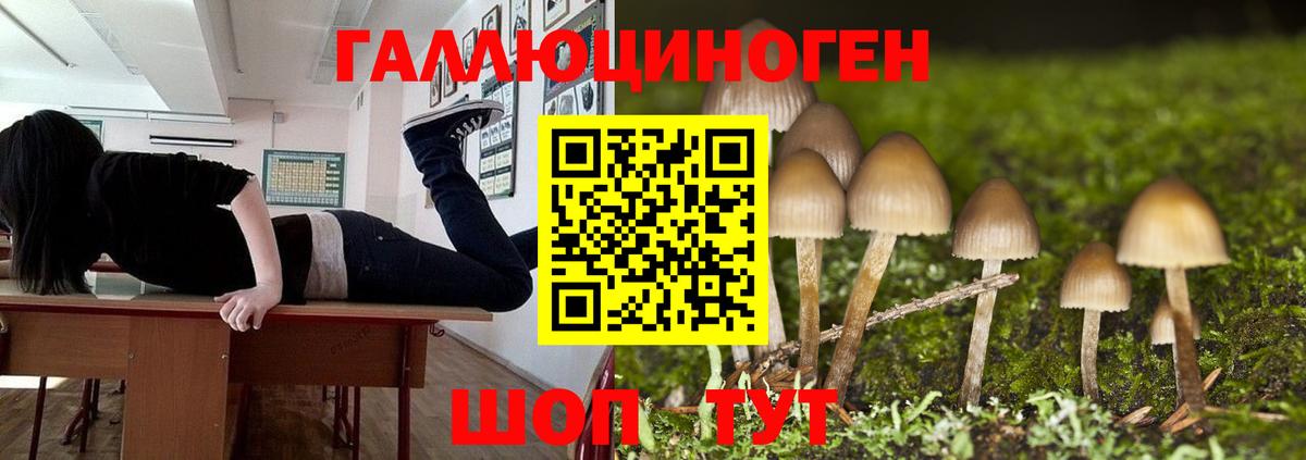 Псилоцибиновые грибы мицелий Истра